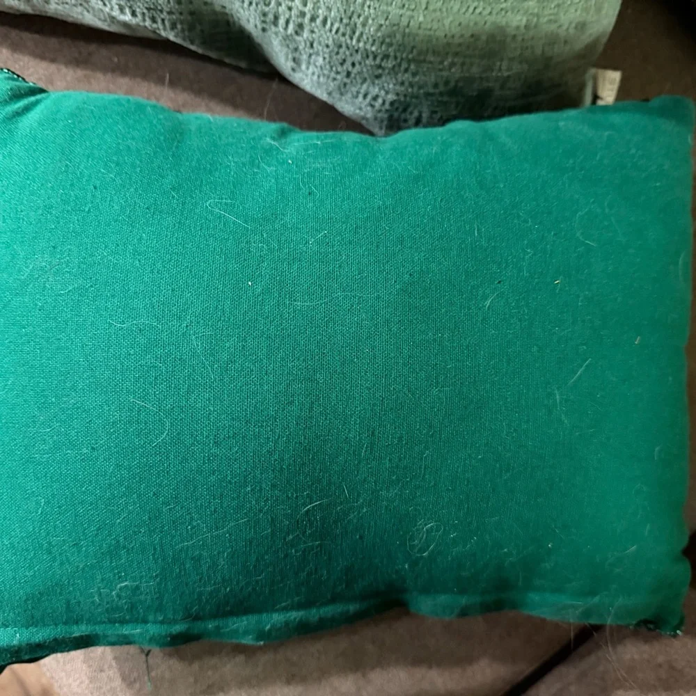 Lucky Lane Green Beaded Pillow with Gold Accents